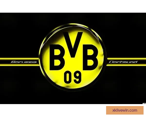 世界杯竞猜盘口预测分析与投注策略全解，助你轻松赢取精彩大奖